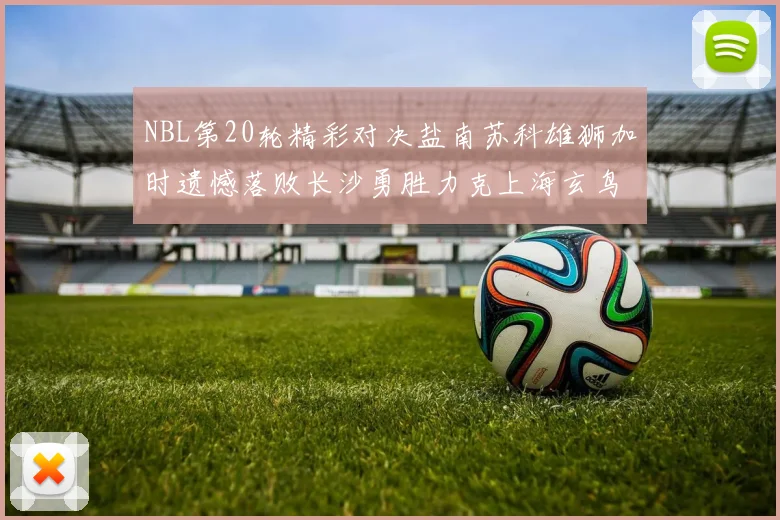 NBL第20轮精彩对决盐南苏科雄狮加时遗憾落败长沙勇胜力克上海玄鸟
